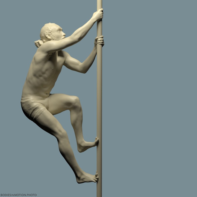 ChinesePole 2 1 keyLightBlue — figure reference