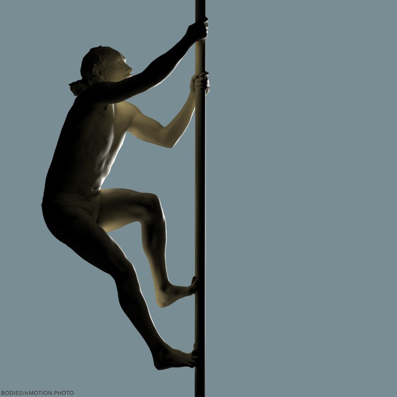 ChinesePole 2 1 rimMidBlue — figure reference