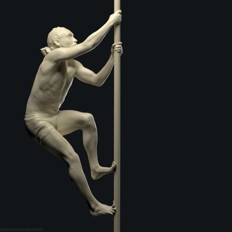 ChinesePole 2 1 threePointDark — figure reference