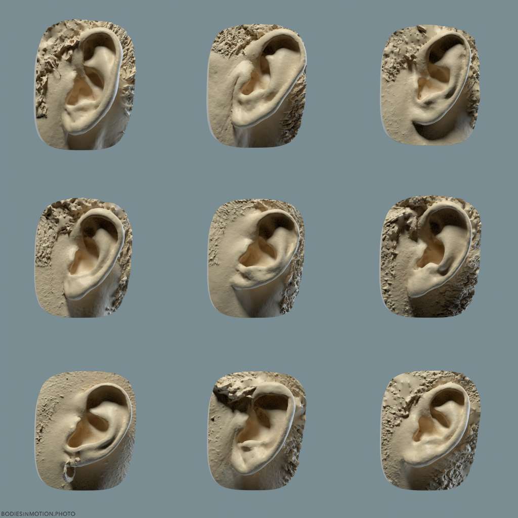 Facial Anatomy - Ears keyLightBlue — figure reference