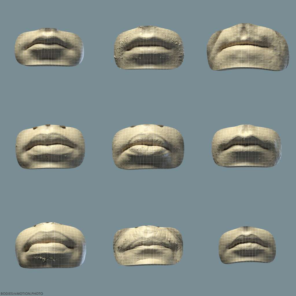Facial Anatomy - Lips1 Grid keyLightBlue — figure reference