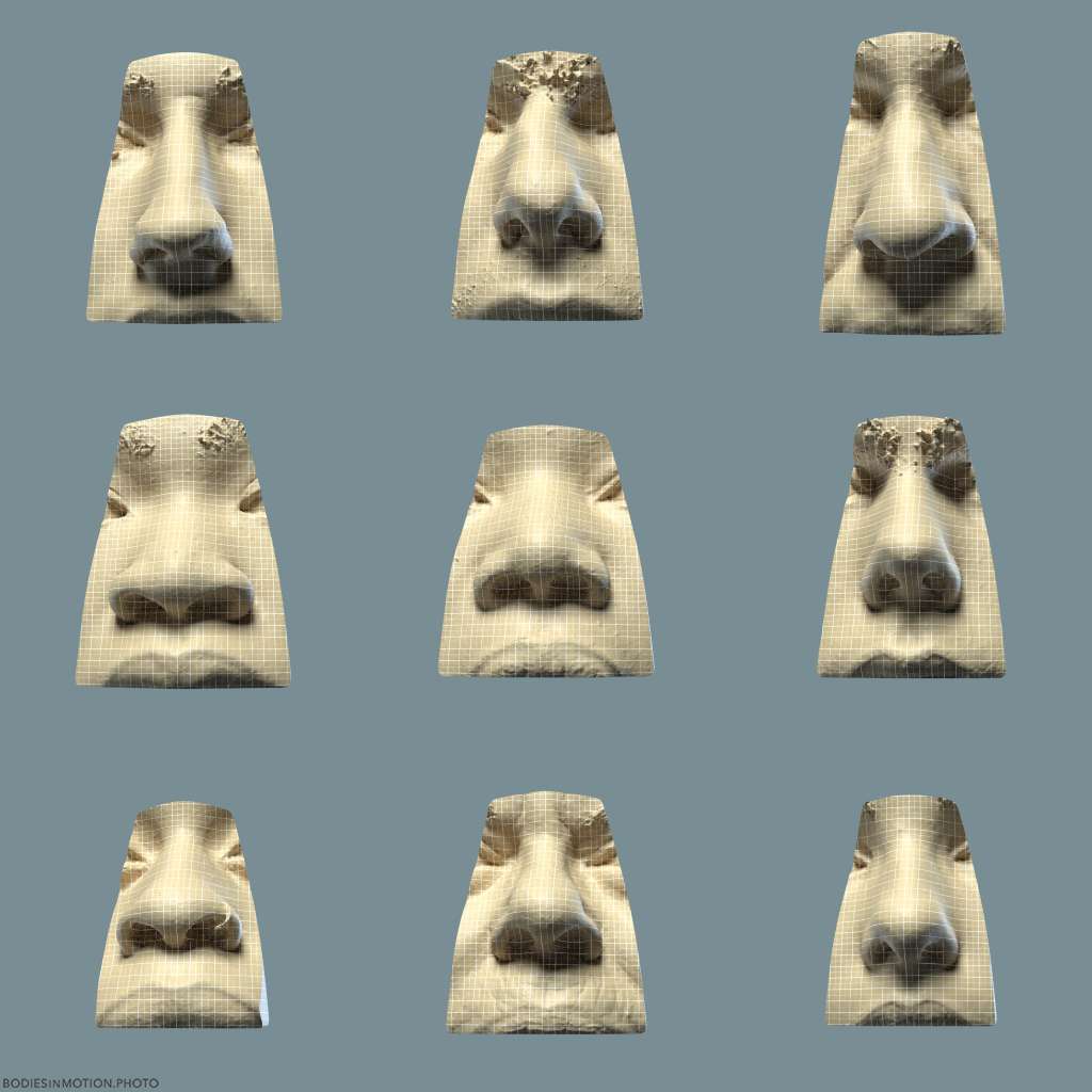Facial Anatomy - Noses Grid 1 keyLightBlue — figure reference