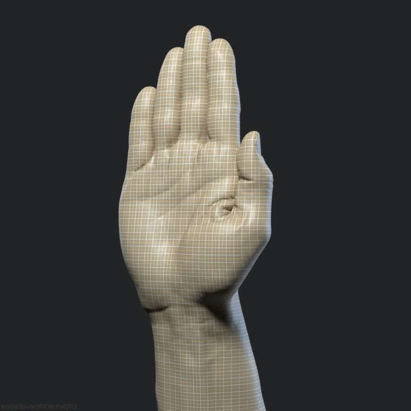 Athletic Male Hand 11 contours — figure reference