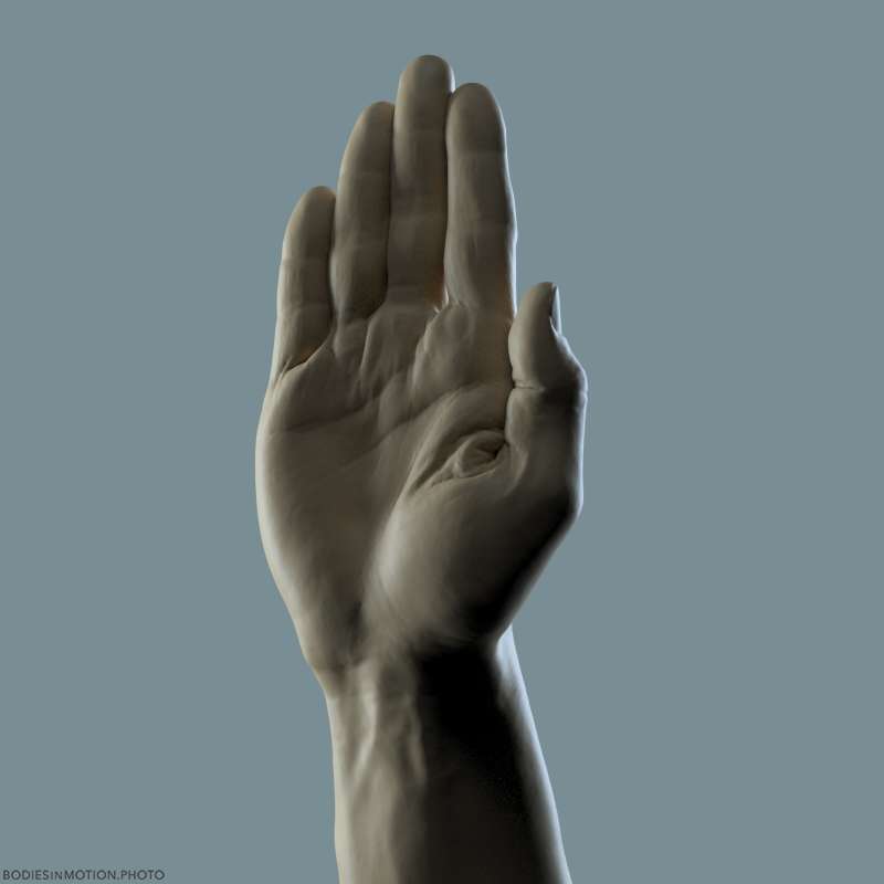 Athletic Male Hand 11 rim — figure reference