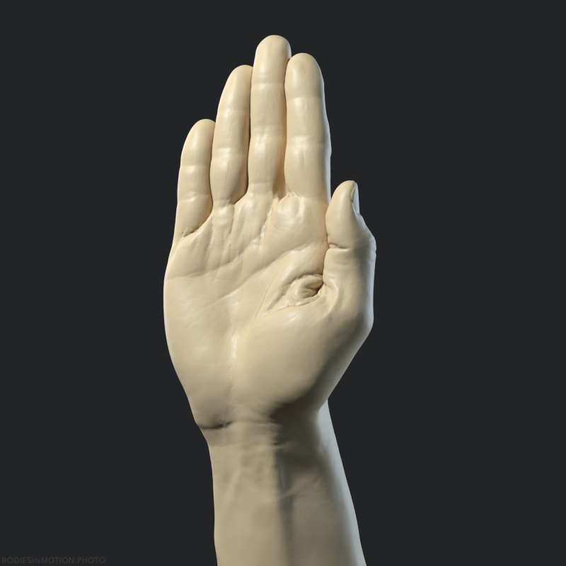 Athletic Male Hand 11 threePoint — figure reference