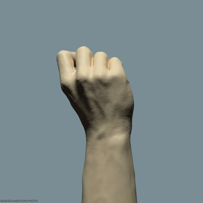 Athletic Male Hand 13 nearFist keyLightBlue — figure reference