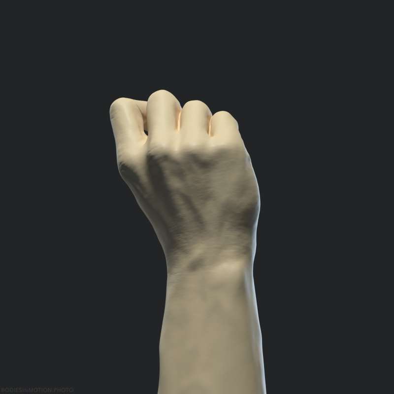 Athletic Male Hand 13 nearFist threePoint — figure reference
