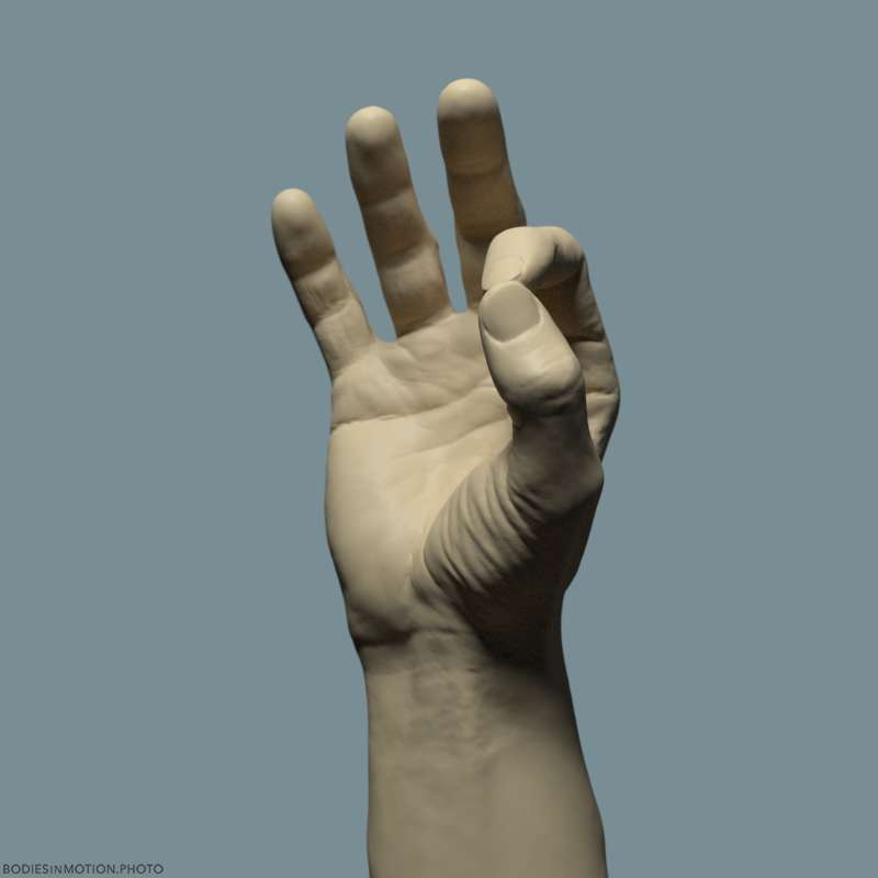 Athletic Male Hand 16 OK keyLightBlue — figure reference