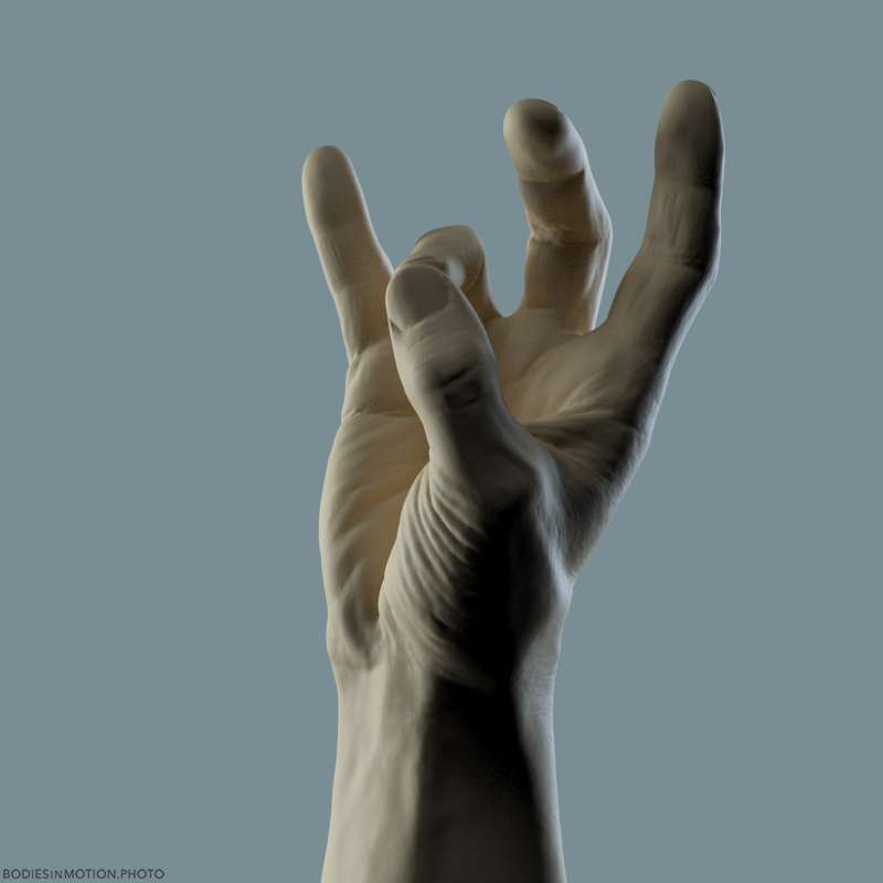 Athletic Male Hand 18 ringTouch rim — figure reference