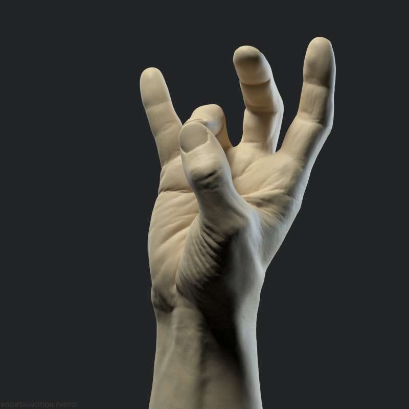 Athletic Male Hand 18 ringTouch threePoint — figure reference