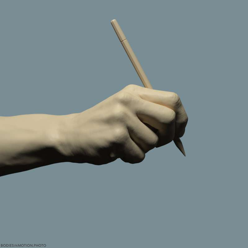 Athletic Male Hand 30 pencil keyLightBlue — figure reference