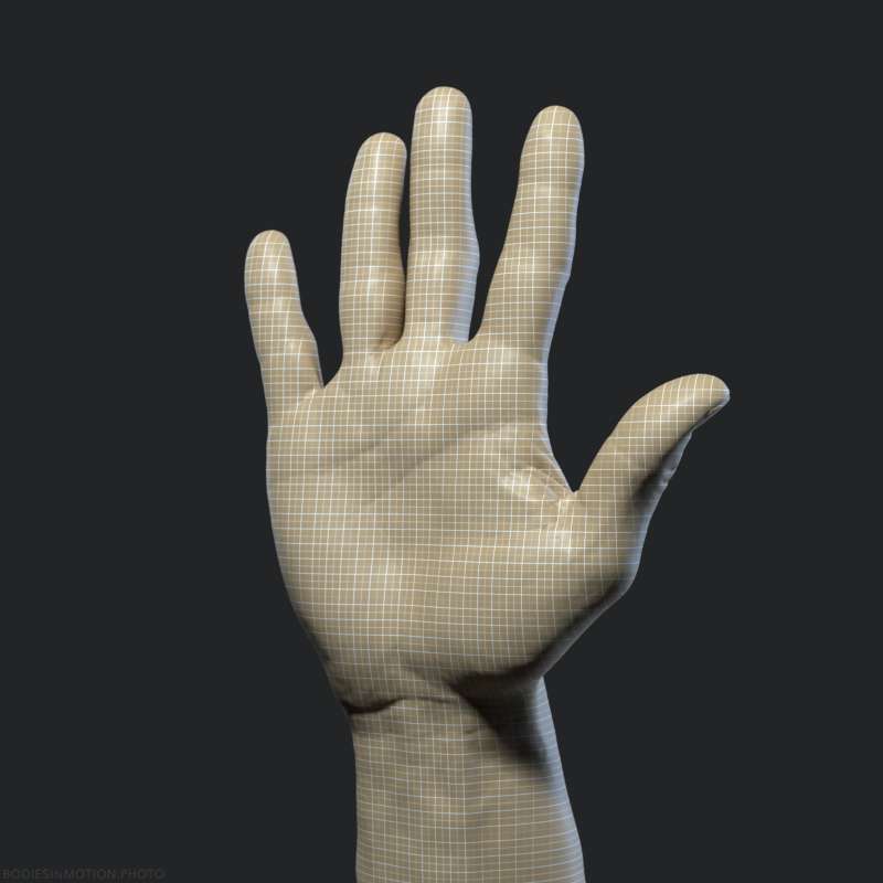 AthleticMale Hand 10 contours — figure reference