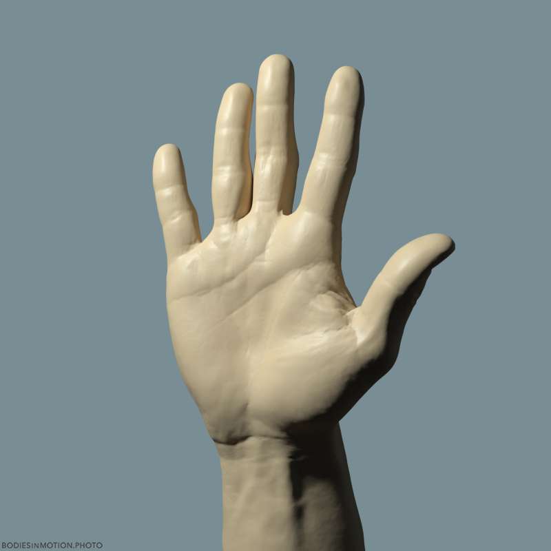 AthleticMale Hand 10 keyLightBlue — figure reference