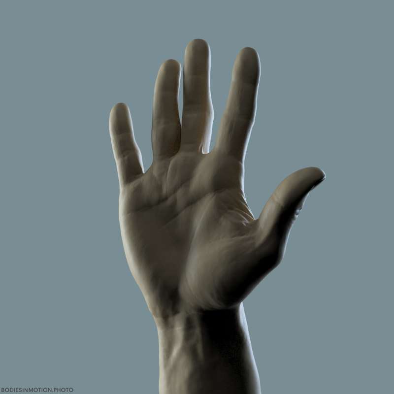 AthleticMale Hand 10 rim — figure reference
