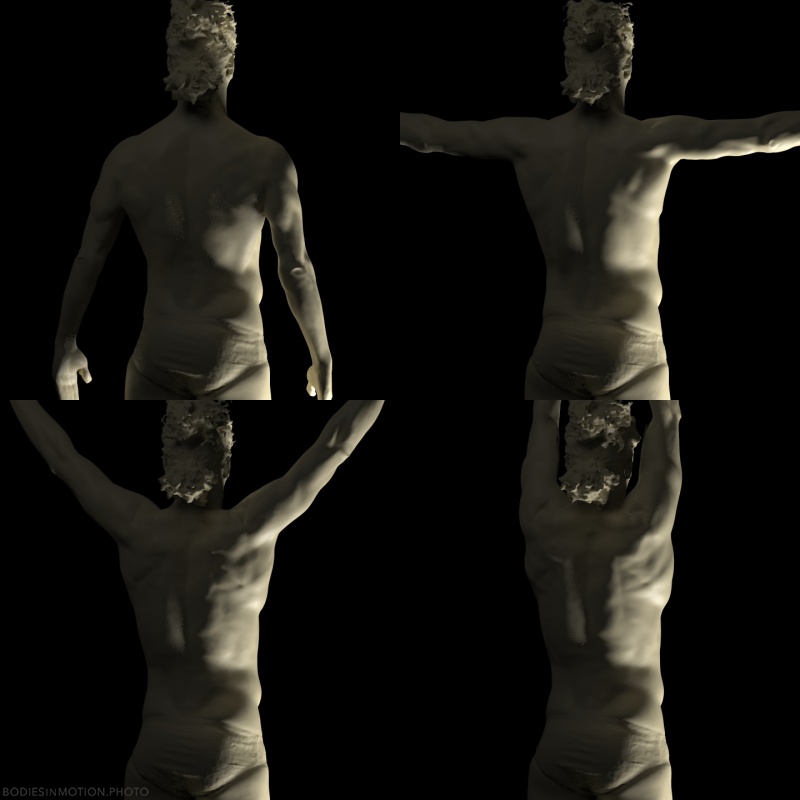 Acro scapulohumeral comp bottomlitBlack — figure reference