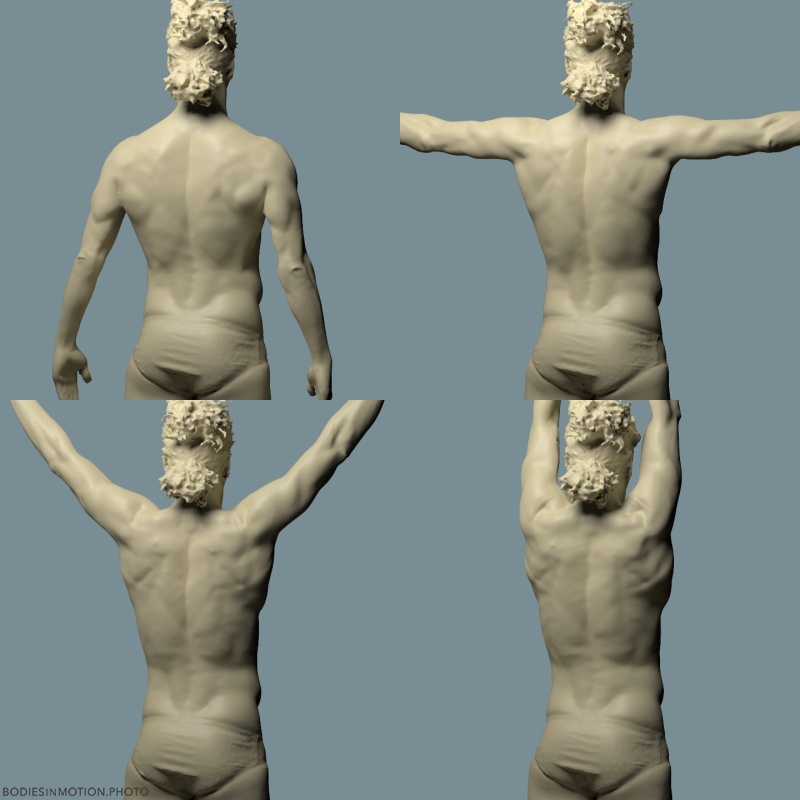 Acro scapulohumeral comp keyLightBlue — figure reference