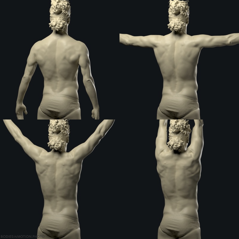 Acro scapulohumeral comp threePointDark — figure reference