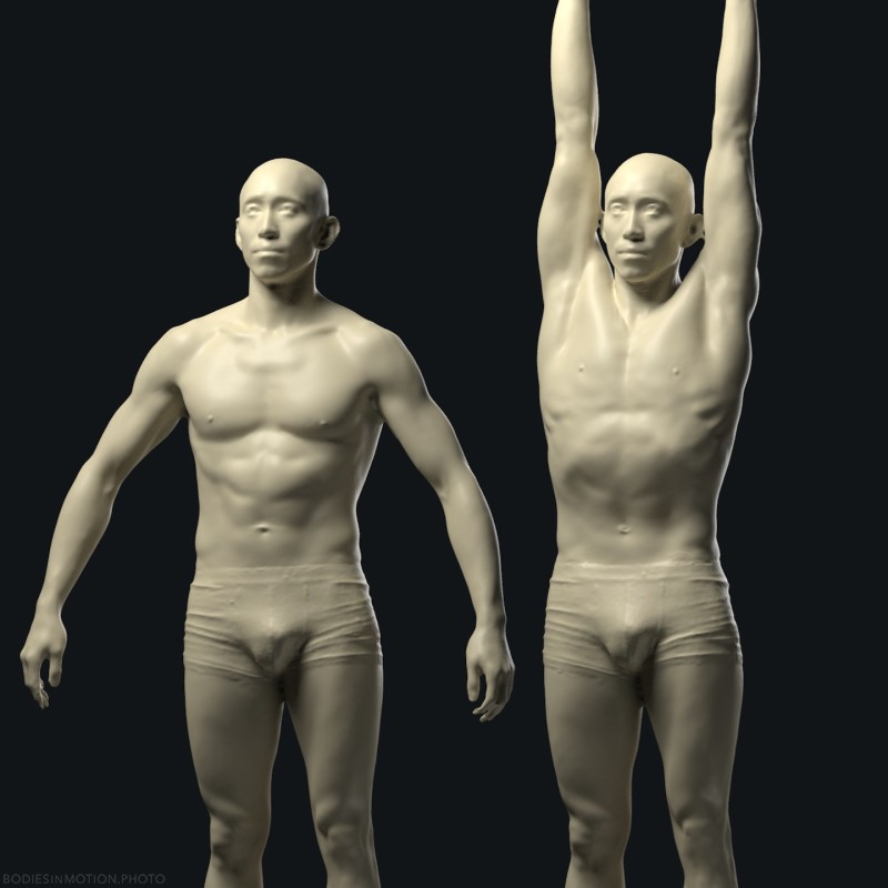 Arm raise 1 threePointDark — figure reference