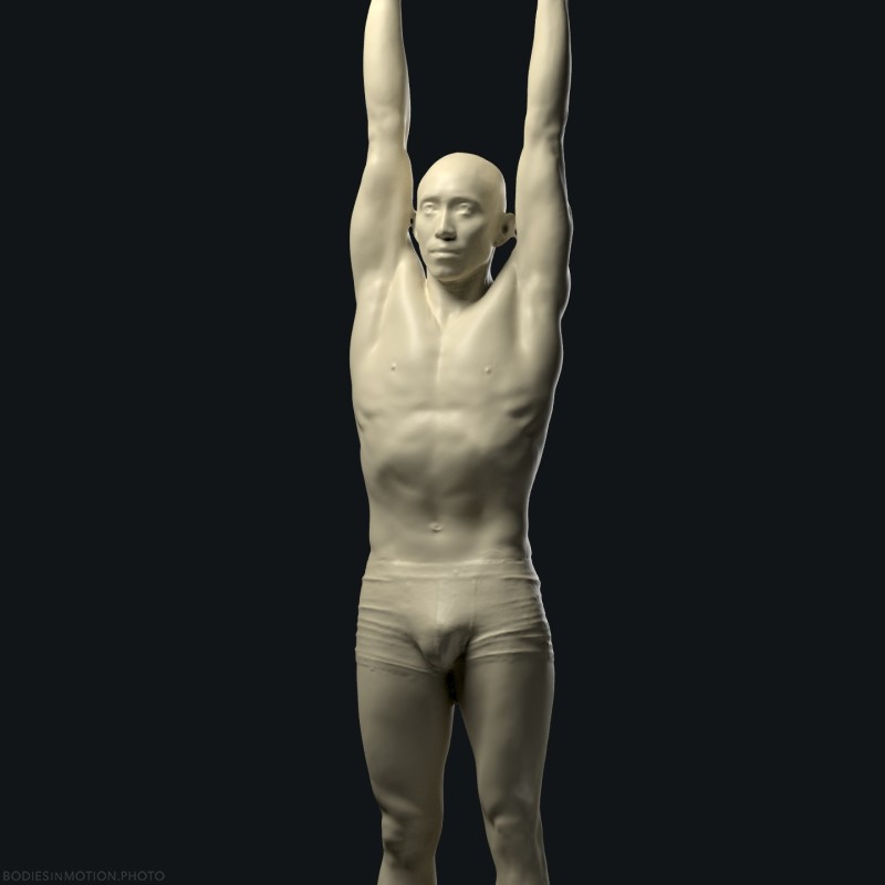 Arm raise 180 threePointDarkSingle — figure reference