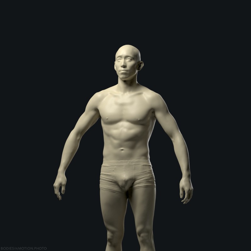 Arm raise neutral threePointDark — figure reference