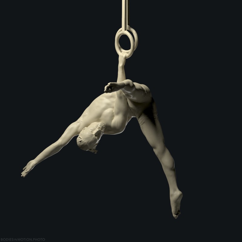 Male rings 14 threePointDark — figure reference