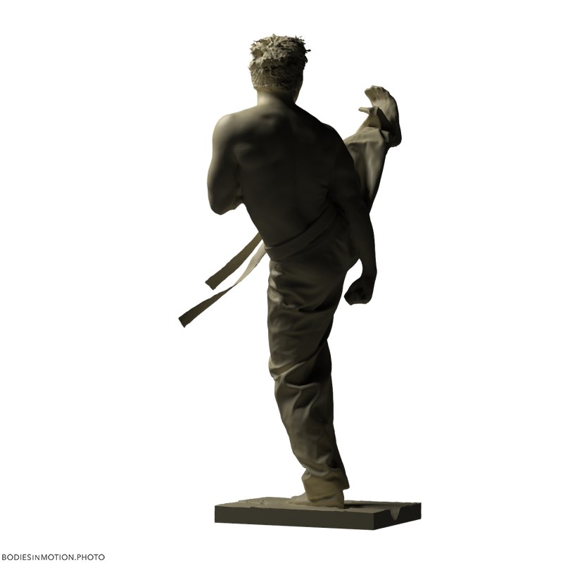Taekwondo 10 keyWhite — figure reference