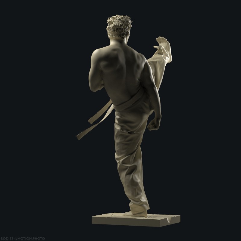 Taekwondo 10 threePointDark — figure reference