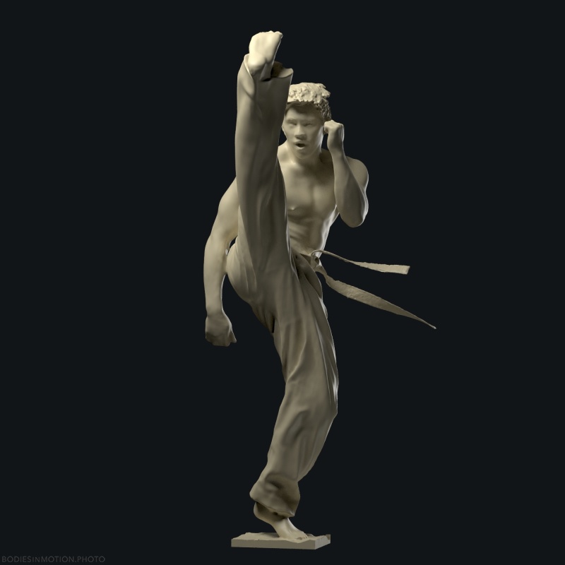 Taekwondo 31 threePointDark — figure reference