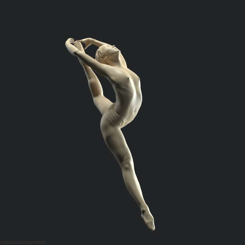 Wing 50 threePoint — figure reference