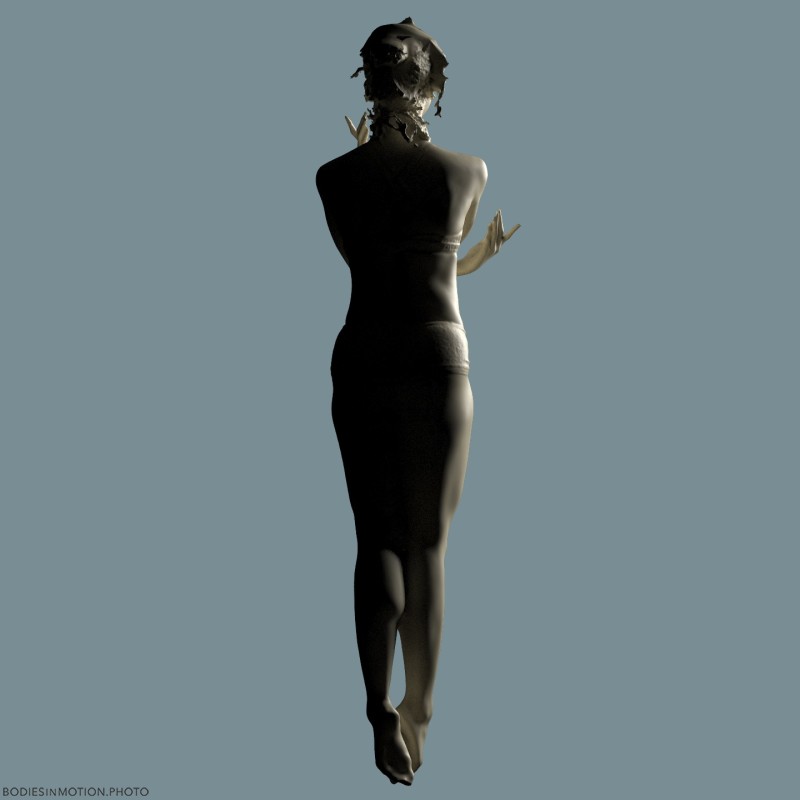 Wing8 rimMidBlue — figure reference