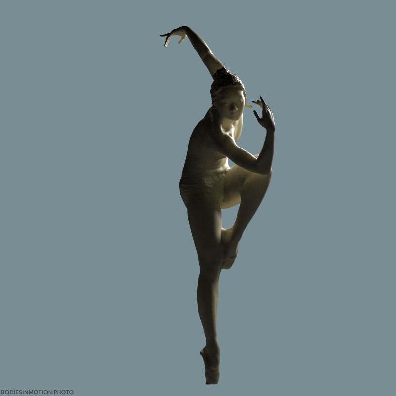 Wing_56 rimMidBlue — figure reference
