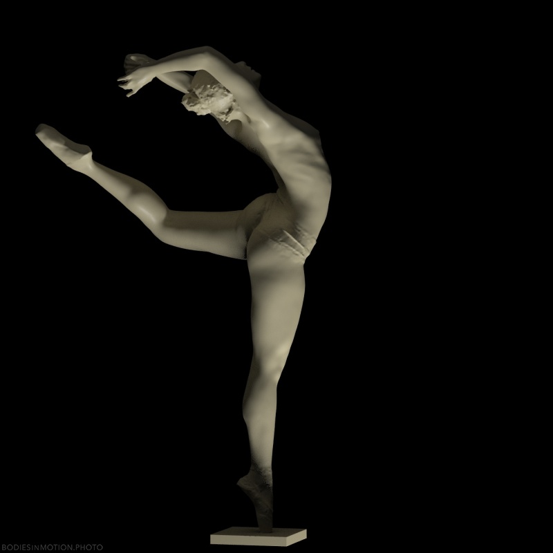 Wing_57 bottomlitBlack — figure reference
