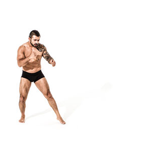 MMA Hollis 01 — figure reference